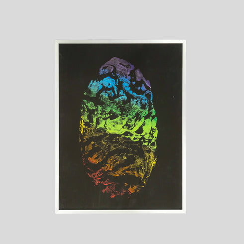 E10-25 African Elephant