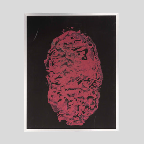 E2-25 African Elephant