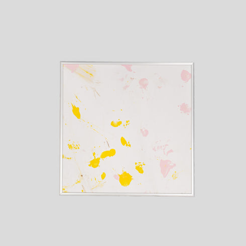 G2-25 Galapagos Tortoise