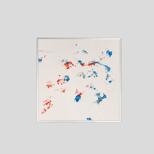 G5-25 Galapagos Tortoise