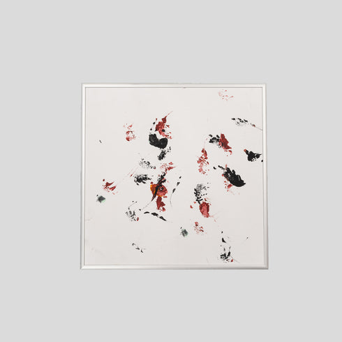 G7-25 Galapagos Tortoise