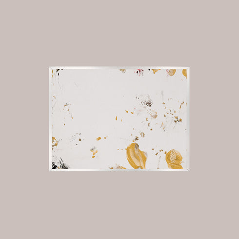 G1-3 Galapagos Tortoise