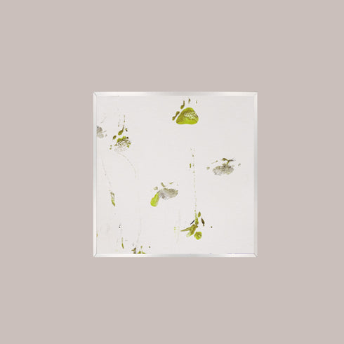 G10-3 Galapagos Tortoise