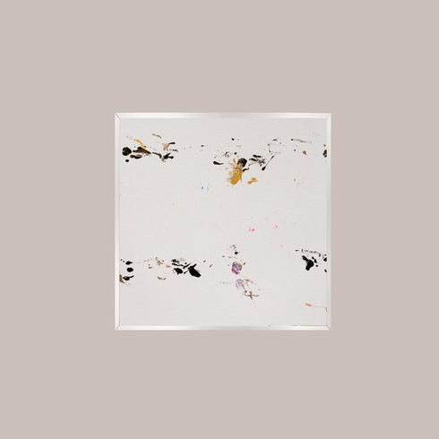 G13-3 Galapagos Tortoise