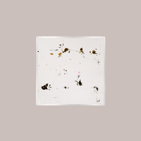 G6-3 Galapagos Tortoise