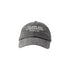 Toledo Zoo Block Letter Logo Hat