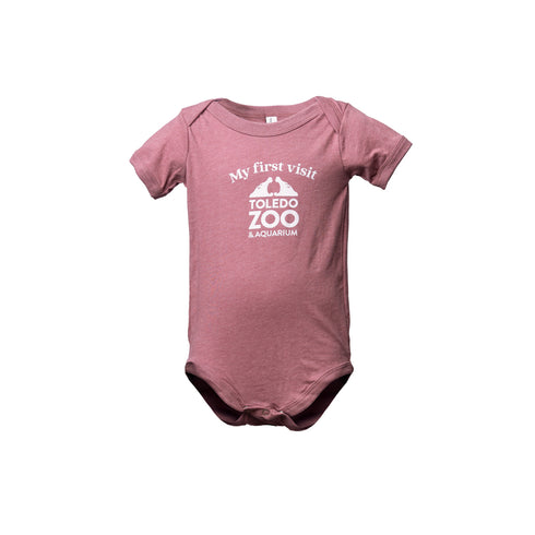 My First Visit Onesie