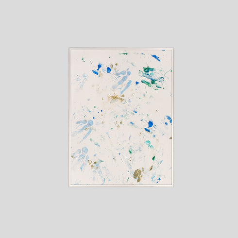 P10-25 African Penguin