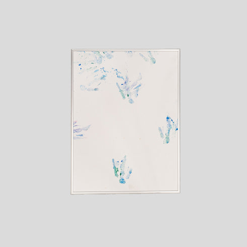 P11-25 African Penguin