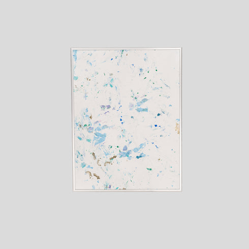 P15-25 African Penguin