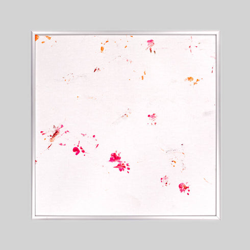 FT10-4 Red Footed Tortoise