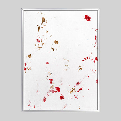 FT2-4 Red Footed Tortoise