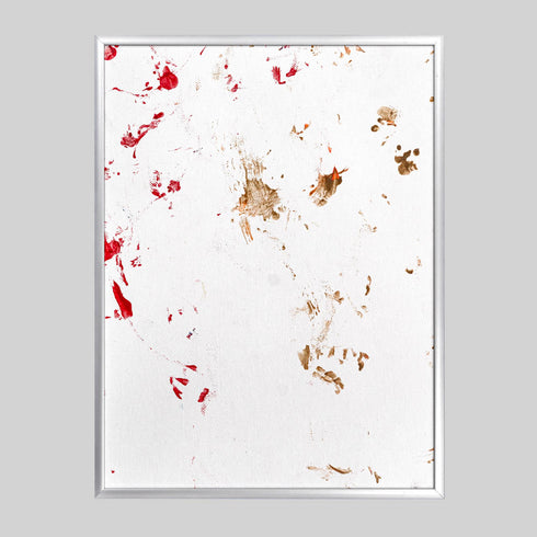 FT3-4 Red Footed Tortoise