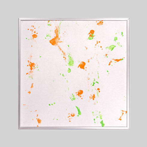 FT6-4 Red Footed Tortoise