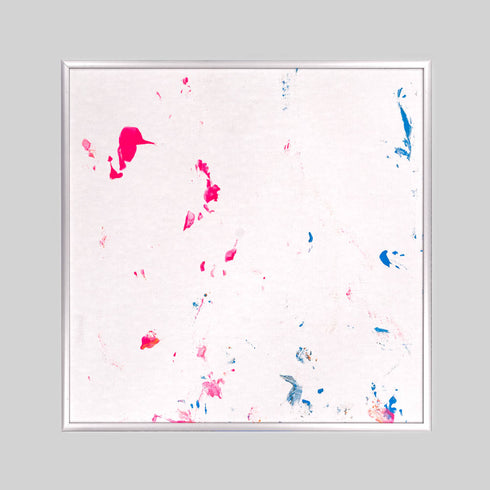 FT8-4 Red Footed Tortoise