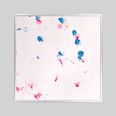 FT9-4 Red Footed Tortoise