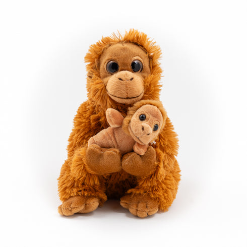 Orangutan with Baby