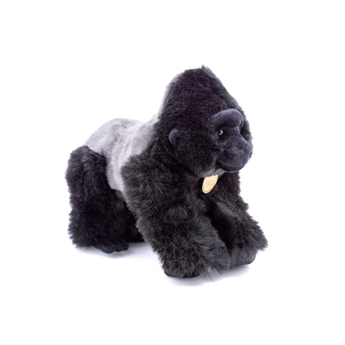 Silverback Gorilla Miyoni