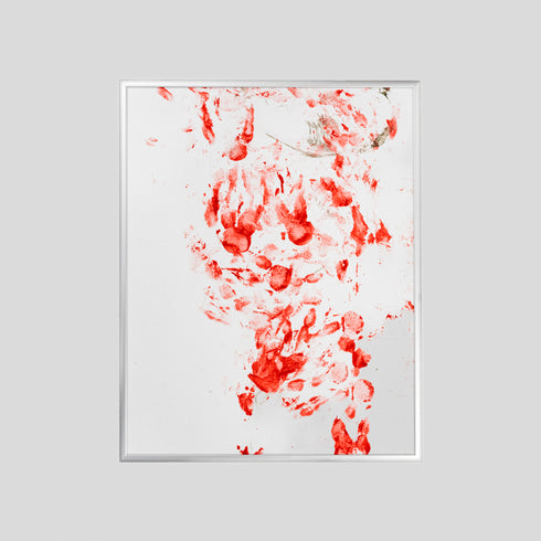 AP2-24 African Penguin