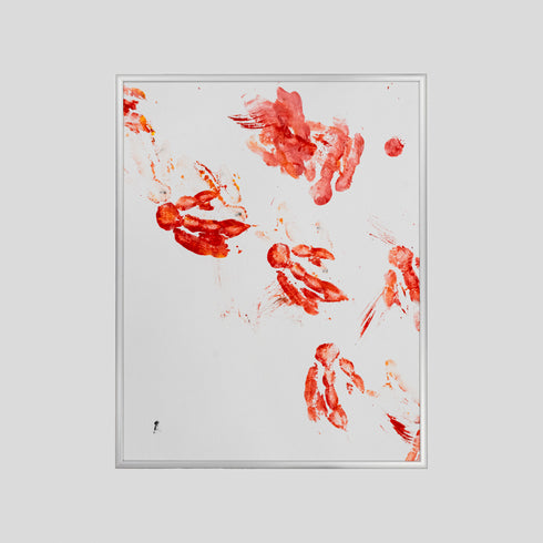 AP5-24 African Penguin