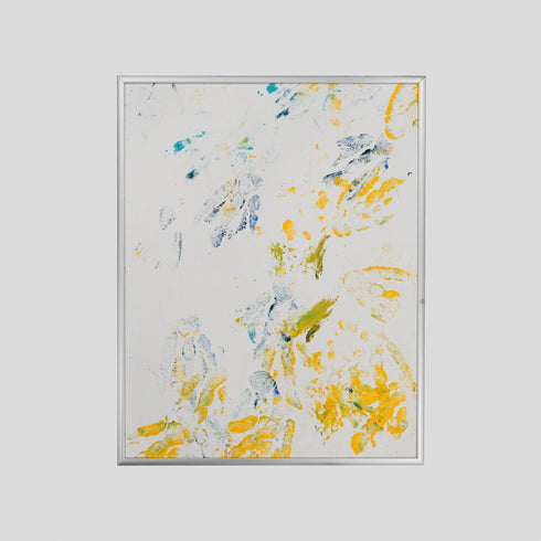 AP9-24 African Penguin