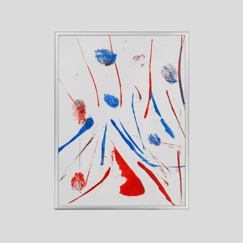 BD1-24 Bearded Dragon