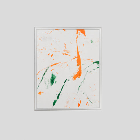 BD5-24 Bearded Dragon