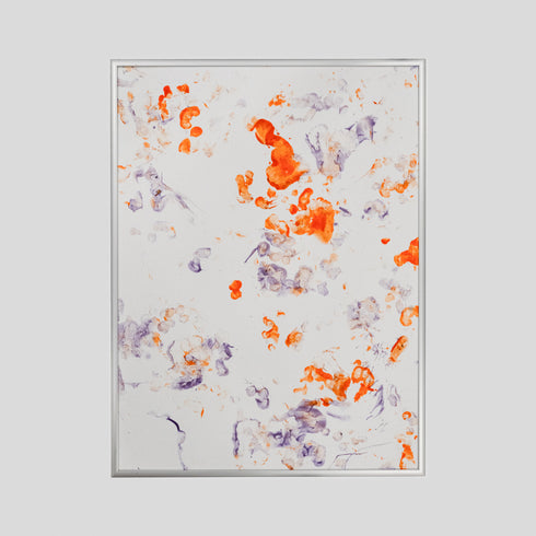 RTL4-24 Ring-Tailed Lemur