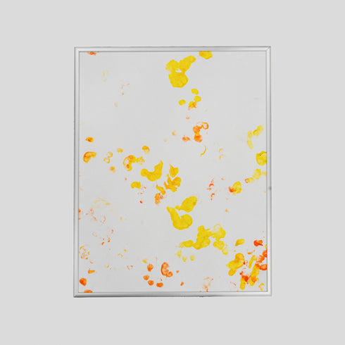 RTL6-24 Ring-Tailed Lemur